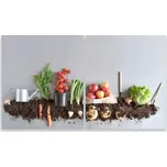 Skleněná Ochranná Deska a Krájecí Prkénko | Indukce, Sporák ds-0522