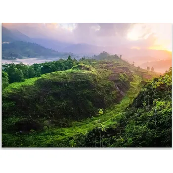 Kuchyňské prkénko Skleněná Ochranná Deska a Krájecí Prkénko | Indukce, Sporák ds-0441