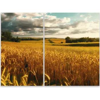 Kuchyňské prkénko Skleněná Ochranná Deska a Krájecí Prkénko | Indukce, Sporák ds-0331