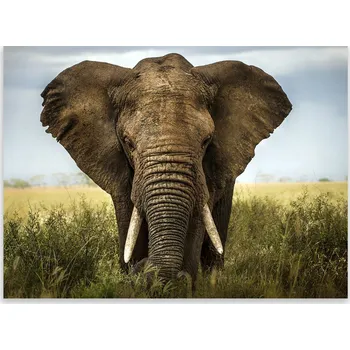 Kuchyňské prkénko Skleněná Ochranná Deska a Krájecí Prkénko | Indukce, Sporák ds-0363