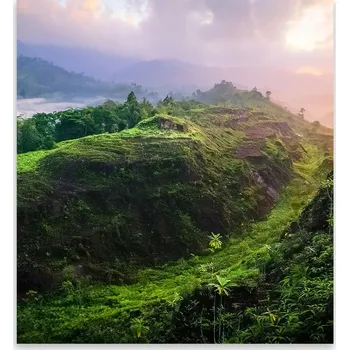 Kuchyňské prkénko Skleněná Ochranná Deska a Krájecí Prkénko | Indukce, Sporák ds-0441