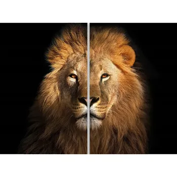 Kuchyňské prkénko Skleněná Ochranná Deska a Krájecí Prkénko | Indukce, Sporák ds-0439