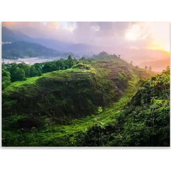 Kuchyňské prkénko Skleněná Ochranná Deska a Krájecí Prkénko | Indukce, Sporák ds-0441