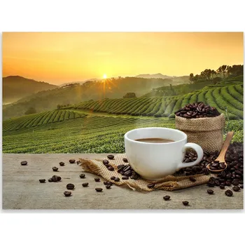 Kuchyňské prkénko Skleněná Ochranná Deska a Krájecí Prkénko | Indukce, Sporák ds-0024