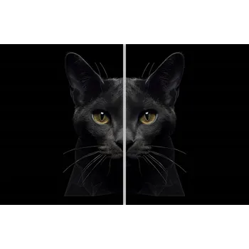 Kuchyňské prkénko Skleněná Ochranná Deska a Krájecí Prkénko | Indukce, Sporák ds-0304