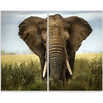 Kuchyňské prkénko Skleněná Ochranná Deska a Krájecí Prkénko | Indukce, Sporák ds-0363