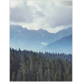 Kuchyňské prkénko Skleněná ochranná deska a prkénko na krájení | Indukce, sporák ds-0423