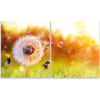 Kuchyňské prkénko Skleněná Ochranná Deska a Krájecí Prkénko | Indukce, Sporák ds-0573