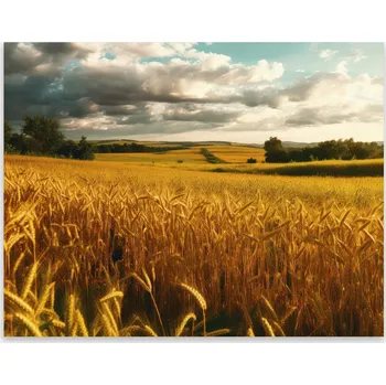 Kuchyňské prkénko Skleněná Ochranná Deska a Krájecí Prkénko | Indukce, Sporák ds-0331