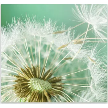 Kuchyňské prkénko Skleněná Ochranná Deska a Krájecí Prkénko | Indukce, Sporák ds-0038