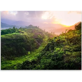 Kuchyňské prkénko Skleněná Ochranná Deska a Krájecí Prkénko | Indukce, Sporák ds-0441