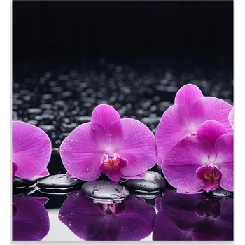 Kuchyňské prkénko Skleněná Ochranná Deska a Krájecí Prkénko | Indukce, Sporák ds-0037