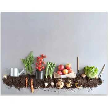 Kuchyňské prkénko Skleněná Ochranná Deska a Krájecí Prkénko | Indukce, Sporák ds-0522