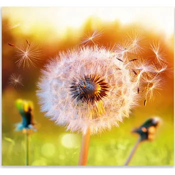 Kuchyňské prkénko Skleněná Ochranná Deska a Krájecí Prkénko | Indukce, Sporák ds-0573