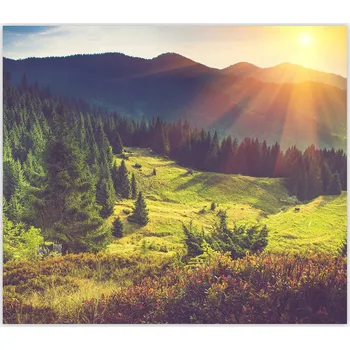 Kuchyňské prkénko Skleněná Ochranná Deska a Krájecí Prkénko | Indukce, Sporák ds-0383