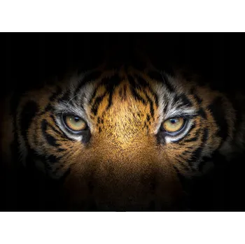 Kuchyňské prkénko Skleněná Ochranná Deska a Krájecí Prkénko | Indukce, Sporák ds-0535