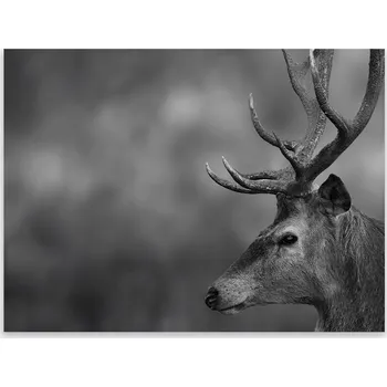 Kuchyňské prkénko Skleněná Ochranná Deska a Krájecí Prkénko | Indukce, Sporák ds-0204