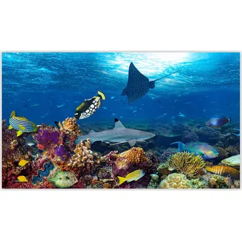 Obraz Skleněná Ochranná Deska a Krájecí Prkénko | Indukce, Sporák ds-0444