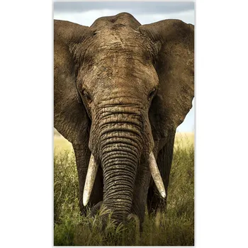 Kuchyňské prkénko Skleněná Ochranná Deska a Krájecí Prkénko | Indukce, Sporák ds-0363