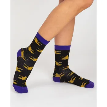 Pánské ponožky Ponožky WS SR 5604 vícebarevné 40-45