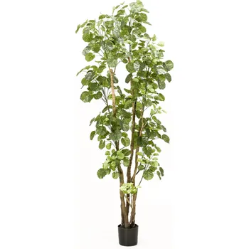 umělá květina Polyscias umělá V 195 cm