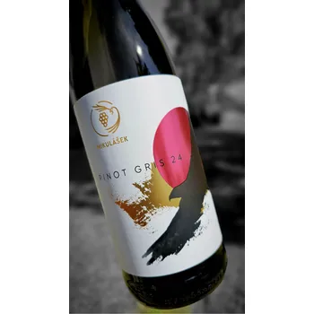 Pinot Gris polosuchý 2024