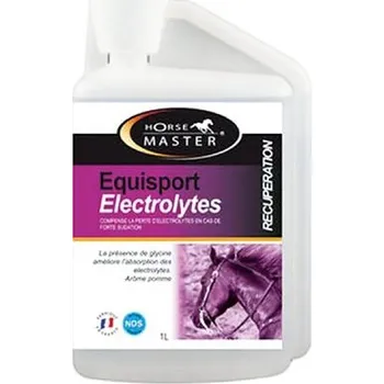 Horse MASTER Equisport Electrolytes 1l