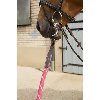 PENELOPE Vodítko Corde Penelope, 1,75 m, pink/havana