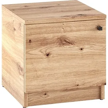 Noční stolek ADRK Noční stolek EVI 10 ART, dub artisan