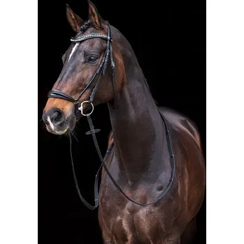 Věšák na sedlo a uzdečku HKM Uzdečka Carolin HKM, černá COB