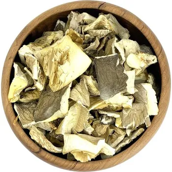 Sušené ovoce Zdravoslav Hlíva ústřičná 100 g