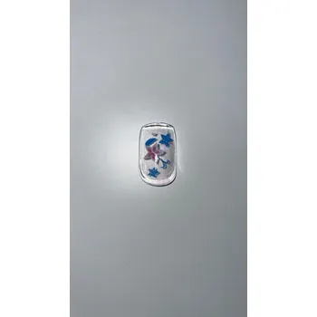 Přípravek na nehty Umělé nehty - 12 ks Varianta: Růžový květ, modré listí Rozbalev(n)o