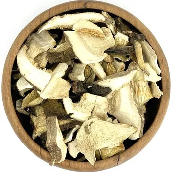 Sušené ovoce Zdravoslav Směs lesních a pěstovaných hub 100 g