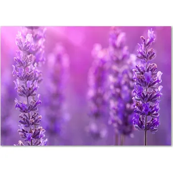 Obraz Skleněný panel 70 x 100 x 4 mm tvrzené sklo broušené fialový