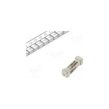 Autopojistky Pojistka tavná zpožděná 100mA 250VAC 125VDC SMD keramická