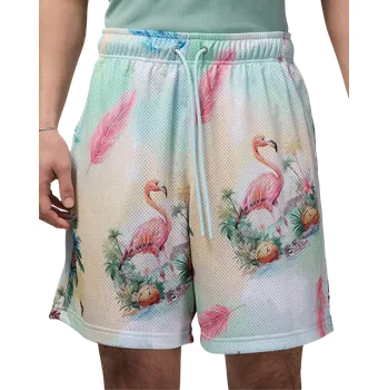 Pánské kraťasy Šortky Jordan Essentials Printed Mesh Short ib3012-133 Velikost S
