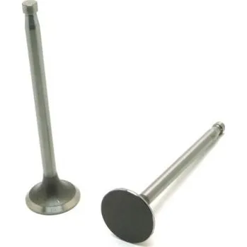 Ventil Ventil výfukový EX Z-50 S/Z-25-VENTIL-EX AGS Ventil výfukový EX Z-50 S/Z-25-VENTIL-EX AGS