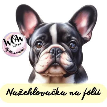 Nažehlovačky na fólii Nažehlovačka na fólii, PES - BULDOČEK, 10x10,3 cm /ks