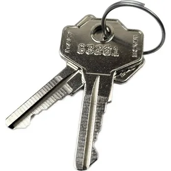 Pohon brány Odblokovací klíč 3201 pro pohony Genius Milord, Blizzard, 2ks