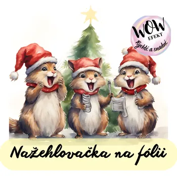 Nažehlovačky na fólii Nažehlovačka na fólii, ZPÍVAJÍCÍ VEVERKY, 20,5x23,2 cm /ks