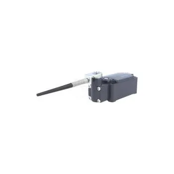 Switch Limit switch plunger on spring loaded element R 106mm 10A