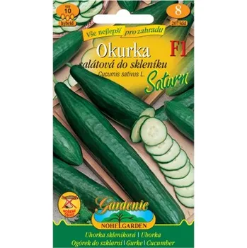 Semeno Okurka salátová do sklenéku Saturn F1