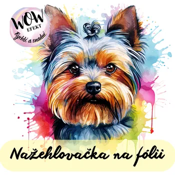 Nažehlovačky na fólii Nažehlovačka na fólii, BAREVNÝ YORKSHIRE, 6x6,2 cm /ks