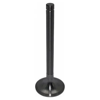 Ventil motoru Ventil sací IN TUR 7901-0555 AGS Ventil sací IN TUR 7901-0555 AGS