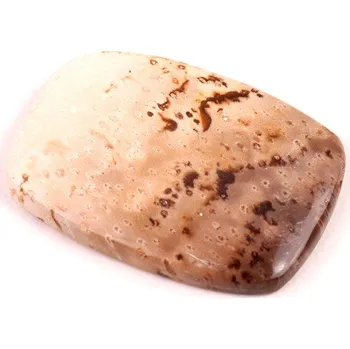 Sběratelství Kabošon Palmový Achát č.5253 (40x28x5mm)