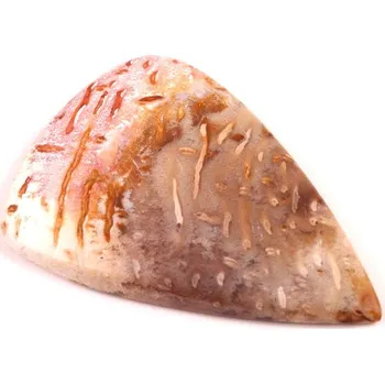 Přírodní kámen Kabošon Palmový Achát č.5257 (44x30x5mm)