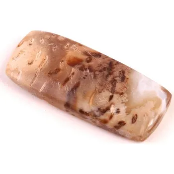 Přírodní kámen Kabošon Palmový Achát č.5258 (38x16x6mm)