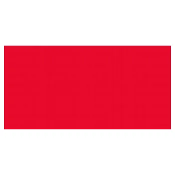 Výtvarná barva Kvašová barva Akademie 60ml - 305 carmine