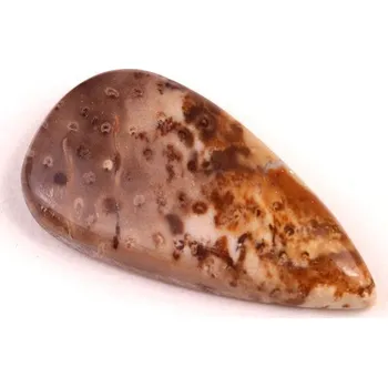 Přírodní kámen Kabošon Palmový Achát č.5266 (35x18x6mm)