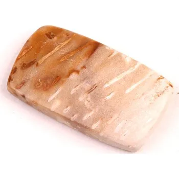 Přírodní kámen Kabošon Palmový Achát č.5260 (32x18x5mm)